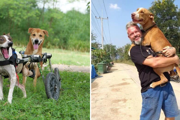 This Chef Discovered His True Passion in Rescuing Stray Dogs in Thailand