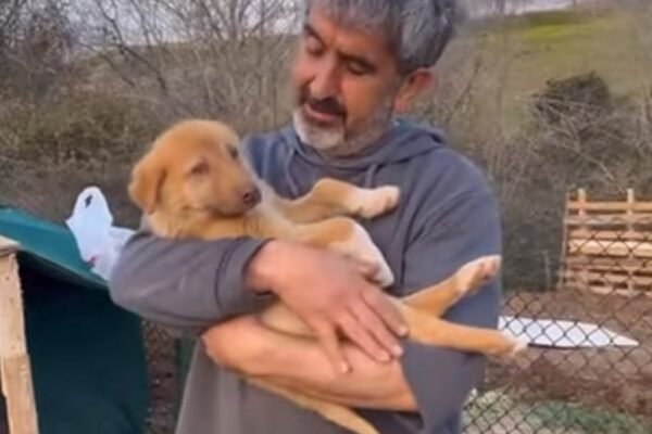 The poor puppy with a broken spine cried out in agony until he was saved by the kindness of strangers.